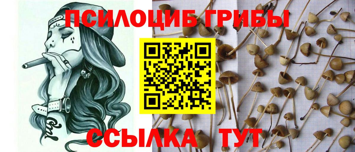 Галлюциногенные грибы ЛСД Назарово